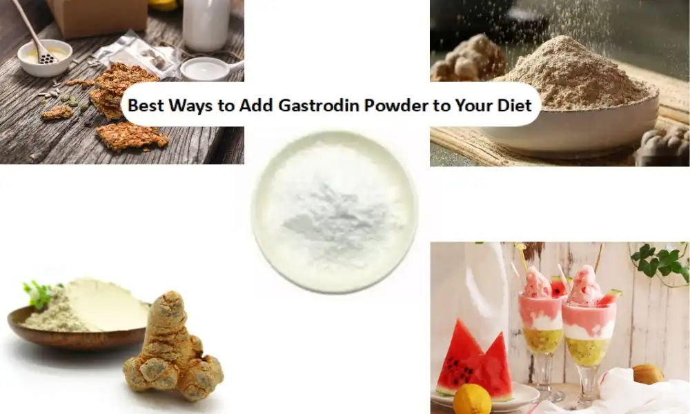 The Best Ways to Add Gastrodin Powder to Your Diet